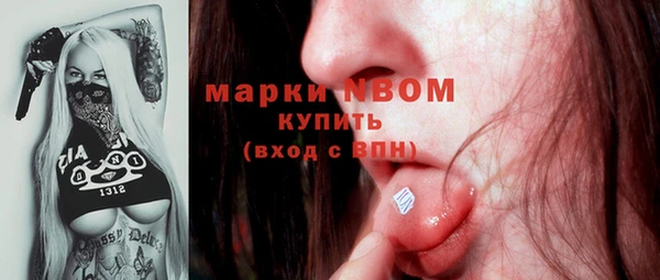 крисы Алзамай
