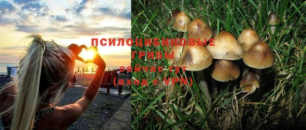 крисы Алзамай