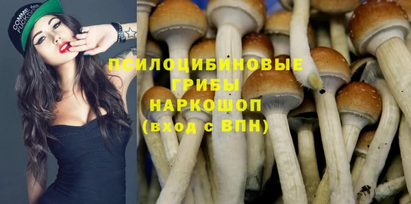 крисы Алзамай