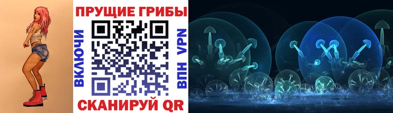 Псилоцибиновые грибы MAGIC MUSHROOMS  Рыбное 